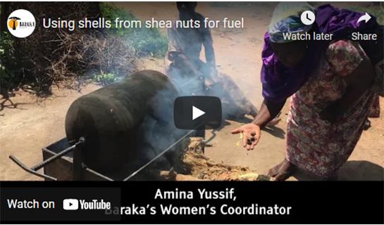 Using shells from shea nuts for fuel